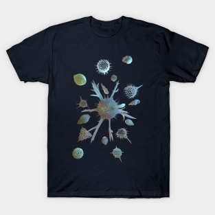 Radiolaria and Foraminifera T-Shirt